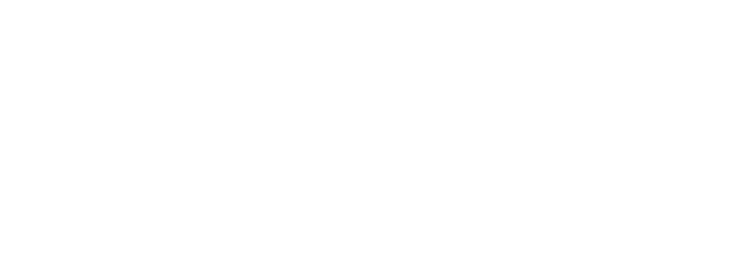 NOA logo